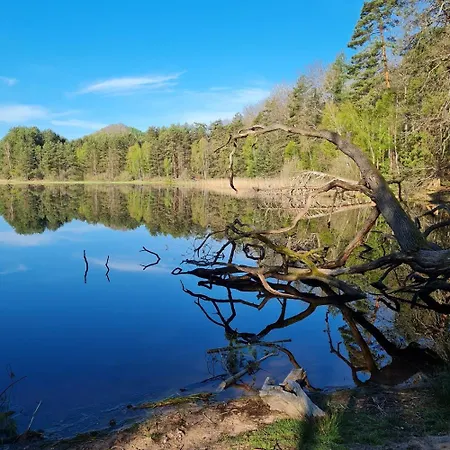 Wasgauer Felsen Und Seenland Appartement