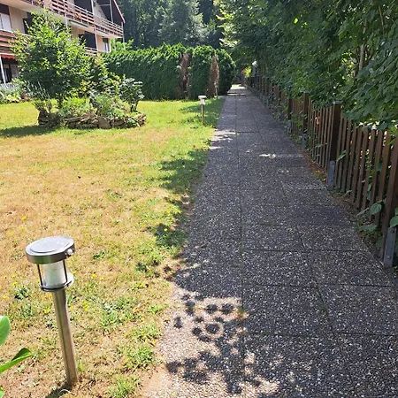 Wasgauer Felsen Und Seenland Niederdorla