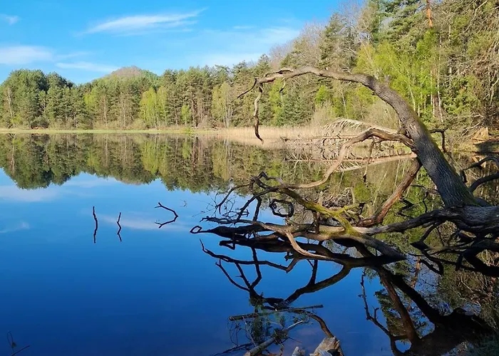 Wasgauer Felsen Und Seenland Appartement